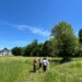 Farmington to weigh feasibility of turning park into cemetery