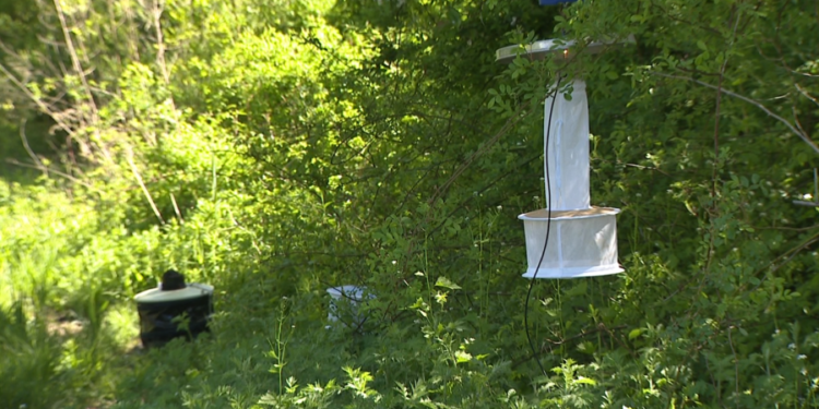 Milford Health Department kicks off 2026 mosquito control program