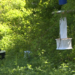 Milford Health Department kicks off 2026 mosquito control program