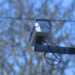 Milford speed cameras go into effect on Memorial Day. Where should you be slowing down?