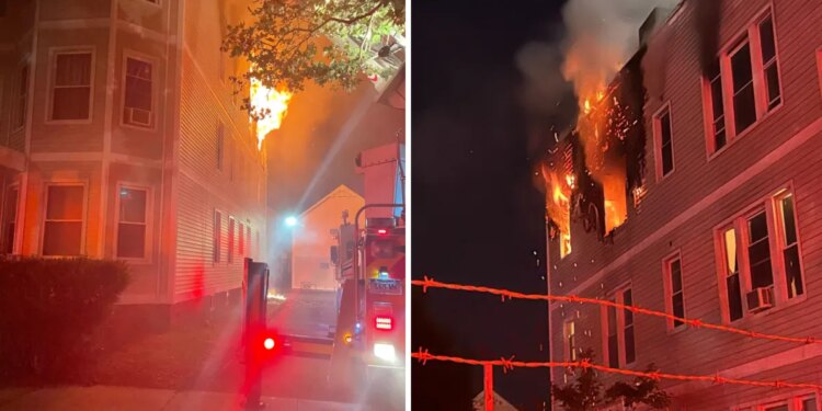 Dog killed in fire at multi-family home in New Haven