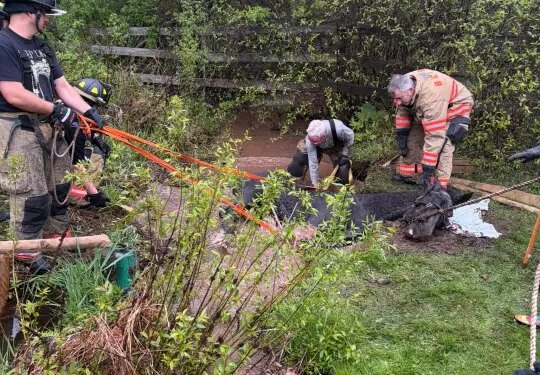 PHOTOS: Horse rescued from stream in Bloomfield