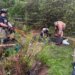 PHOTOS: Horse rescued from stream in Bloomfield
