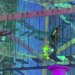 The world’s largest indoor ropes course is inside a New Haven furniture store