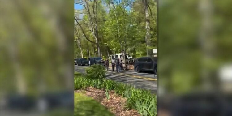 Tolland neighbors surprised after large cockfighting ring raid