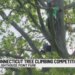 Tree climbers compete for top spot at Lighthouse Point Park in New Haven