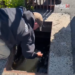Westbrook firefighters rescue ducklings from storm drain