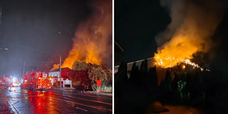Fire damages multiple Branford businesses
