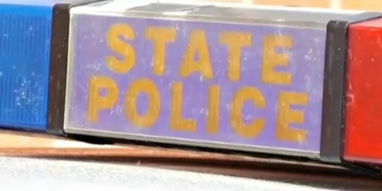 Two arrested after fleeing crash, prompting K-9 search in Woodstock: Police
