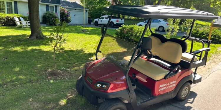 ‘Golf Cart Project' helps turn driving anxiety into confidence