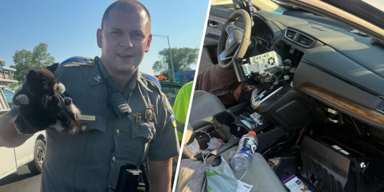 Trooper helps rescue kitten from vehicle on I-91
