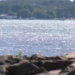 2 men rescued from water hours after boat capsized off West Haven