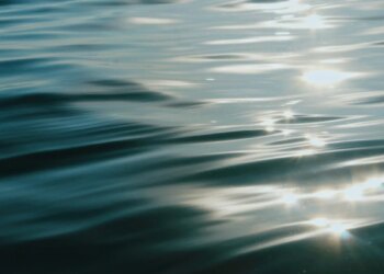 Body pulled from CT River in Old Lyme