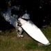 Pilot dies in small plane crash at RI airport