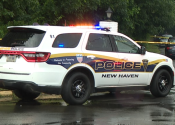 1 in custody as New Haven police investigate stabbing on Howard Avenue