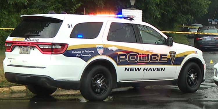1 in custody as New Haven police investigate stabbing on Howard Avenue