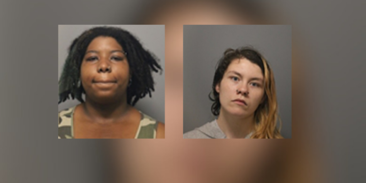 2 women accused of leaving animals unattended for days in Wallingford home with hoarding conditions