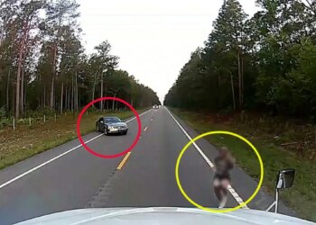 Truck driver rescues handcuffed woman who escaped attempted kidnapping: ‘Please help me'