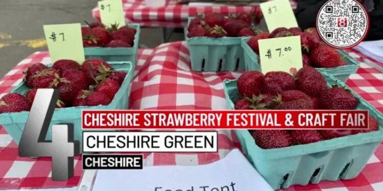 8 Things to Do: Connecticut Sea Music Festival, Cheshire Strawberry Festival and more