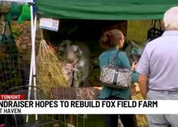 Community raises money for Branford farm devastated by fire