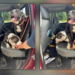 Do you recognize these dogs abandoned at I-84 truck stop in Willington?