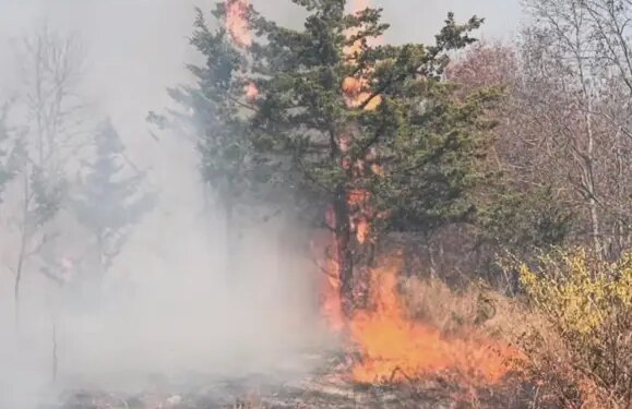FEMA approves millions in funding to help Conn. recover from Hawthorne Fire