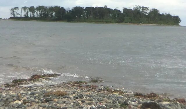 Five rescued from Long Island Sound off Milford