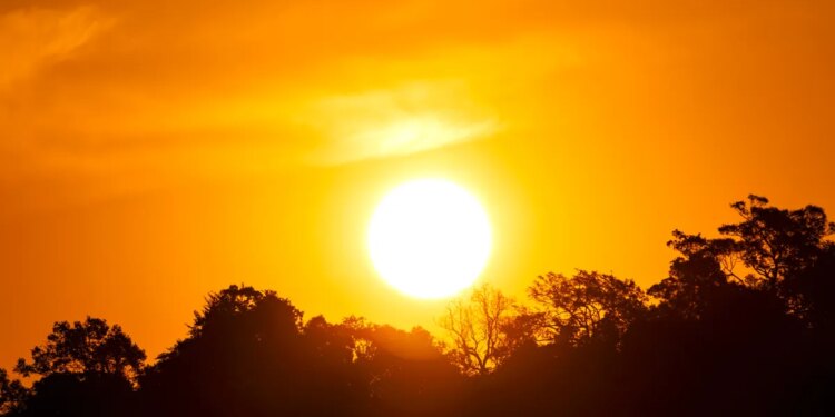 Beat the heat: How to recognize and treat heat stroke