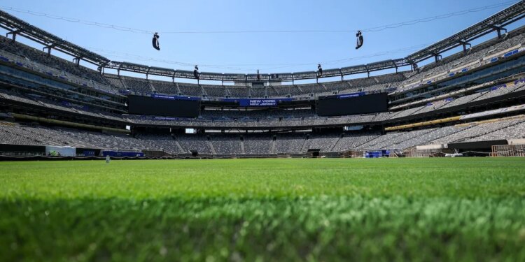 World Cup grass fields have NFL players asking why they still play on turf