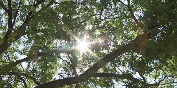 Helpful reminders to save on utility bills during warmer summers