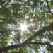 Helpful reminders to save on utility bills during warmer summers