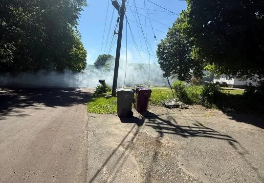 Hundreds without power, animals evacuated after downed wires cause spot fires in Naugatuck