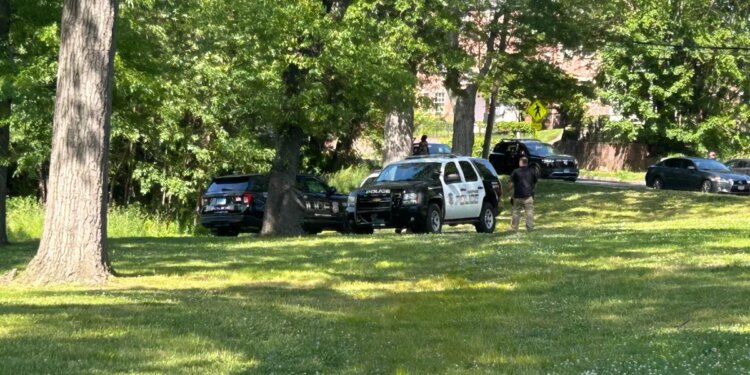 Police investigating after a woman was shot in Hartford