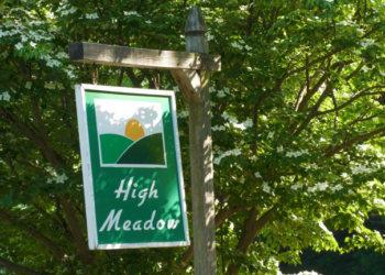 Juvenile dies after medical emergency in pool at High Meadow