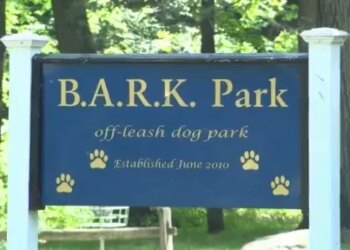 Pet owners concerned after potentially toxic food found Bristol dog park