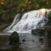 State parks filling up and some are closing