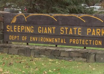 State parks reaching capacity Sunday