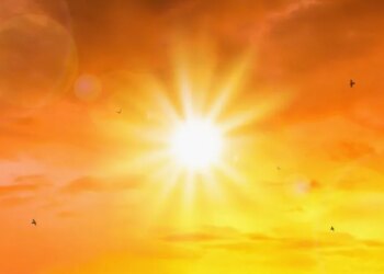 Tips for staying safe during Connecticut's stretch of extreme heat