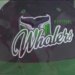 Whalers fans have mixed emotions on Hurricanes playing for Stanley Cup