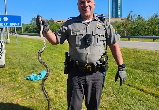 Woman discovers snake inside car while driving on Route 2 near Foxwoods