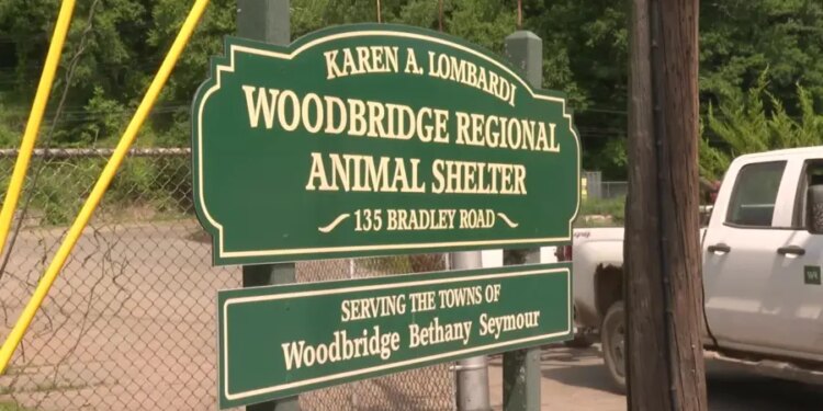 Woodbridge animal control at capacity following 'suspicious incident' in Beacon Falls