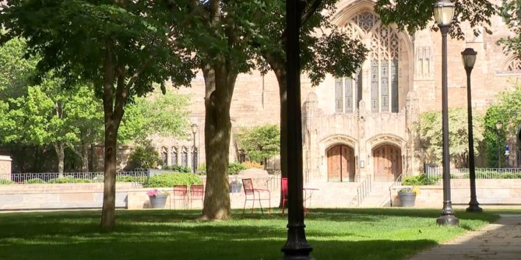 Yale launches $4.5M initiative to fund New Haven nonprofits, strengthen community
