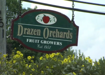 Cheshire orchard closes after 75 years in business