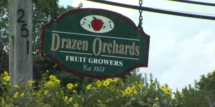 Cheshire orchard closes after 75 years in business