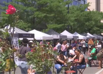 Fifth annual Hartford Taste returns this weekend