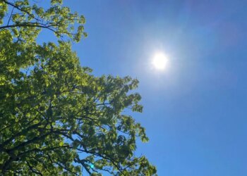 Gov. Ned Lamont declares Stage 2 drought advisory for multiple counties