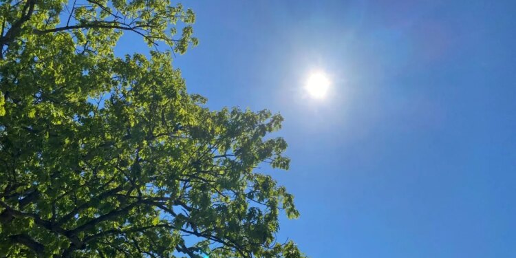Gov. Ned Lamont declares Stage 2 drought advisory for multiple counties