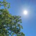 Gov. Ned Lamont declares Stage 2 drought advisory for multiple counties