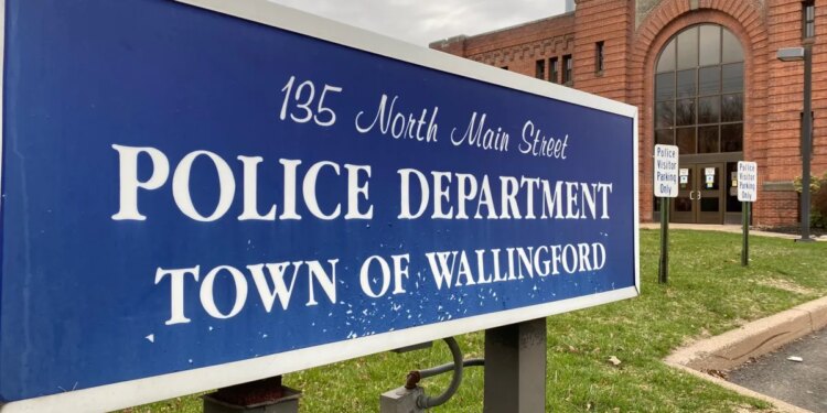 Two Wallingford women charged with animal cruelty after pets left unattended for days