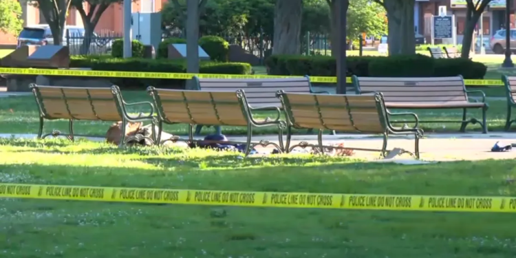 Police investigation closes part of West Haven Green